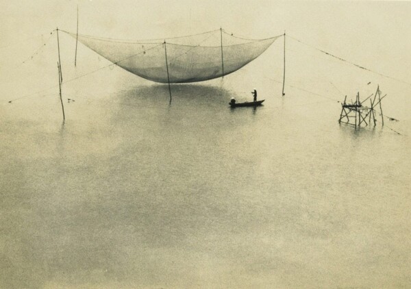 © Andrei Farcasanu.