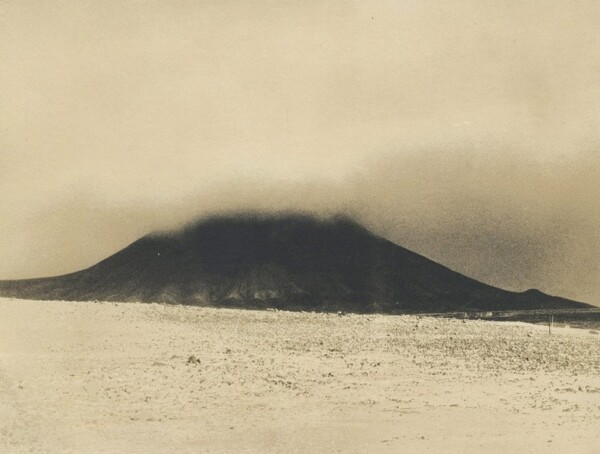 © Andrei Farcasanu.