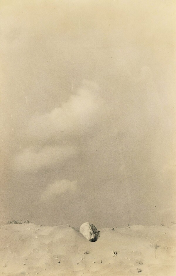 © Andrei Farcasanu.