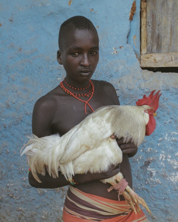 White Rooster, Blue Wall, Dimeka, Ethiopia
