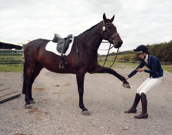 Maddie age 17 preparing to compete in a dressage test and checking the details of the test on her phone.