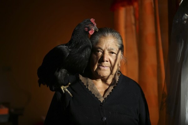 Omens. From the series: SPECTRUM 2019.