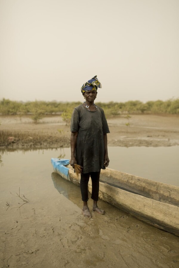Mangrove Oysters, Casamance, Senegal