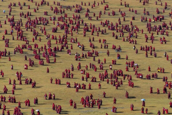 Pattern of Grassland, Ganzi, Tibet