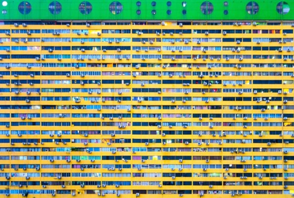 You are lost in a human hive