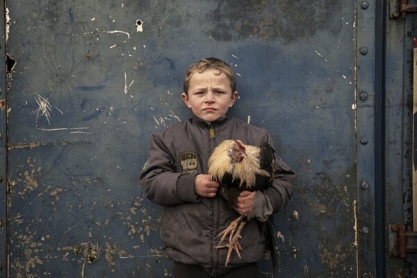 Pa and His Rooster, Cashel, Ireland