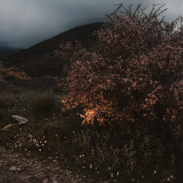 Somewhere