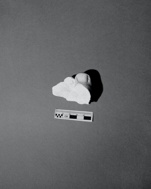 Evidence n.3
