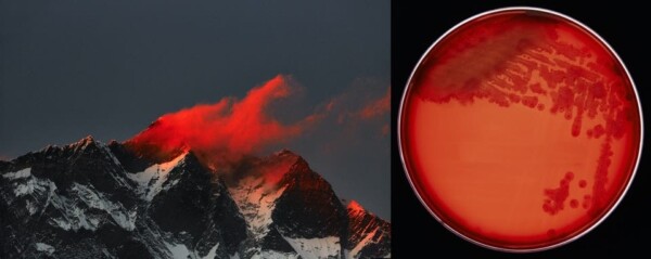 Lhotse at sundown, Nepal, 2016