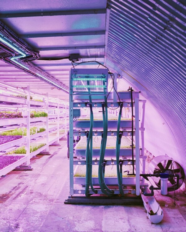 Growing Tunnel, Growing Underground