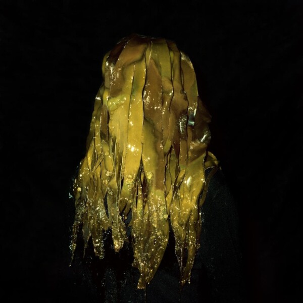 SELFPORTRAIT WITH ALGAE, ICELAND, 2018