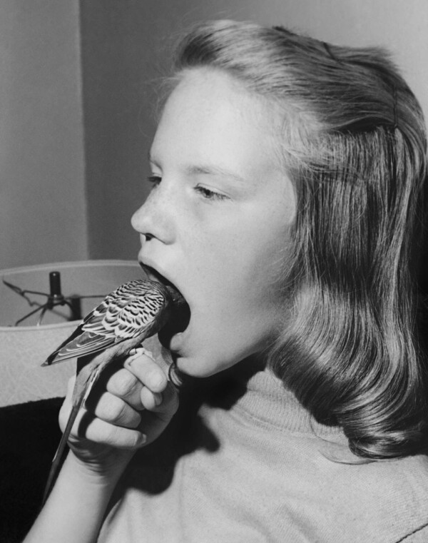 Guid riddance! Guid riddance!