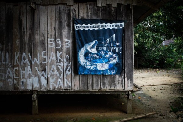 "Kawsak Sacha" / "The living Jungle"