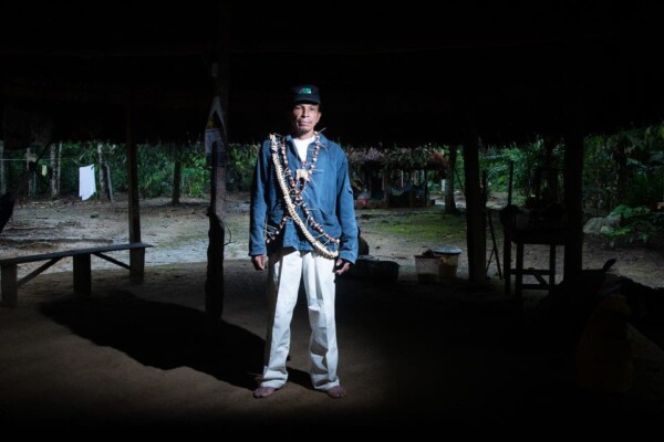 "Kawsak Sacha" / "The living Jungle"