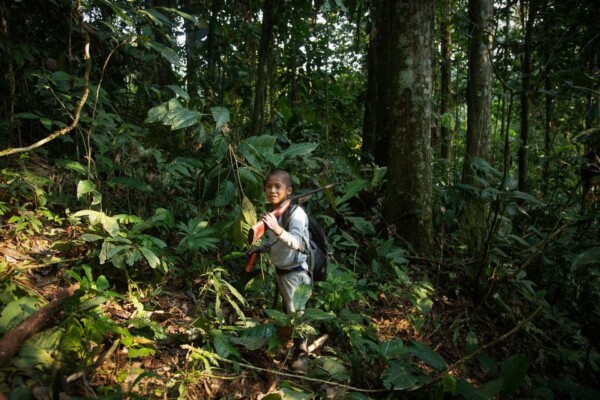 "Kawsak Sacha" / "The living Jungle"