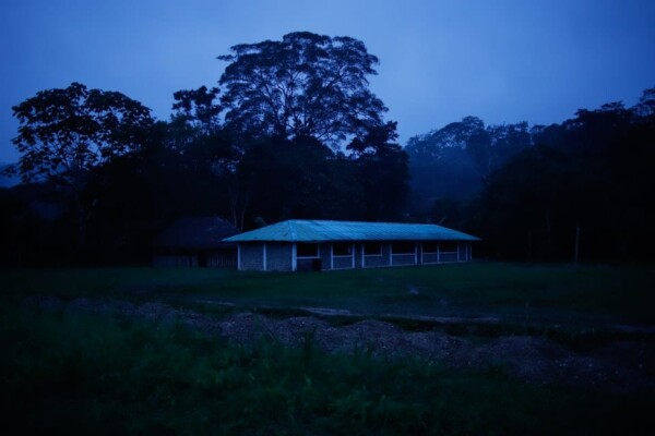 "Kawsak Sacha" / "The living Jungle"