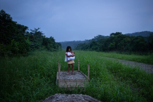"Kawsak Sacha" / "The living Jungle"