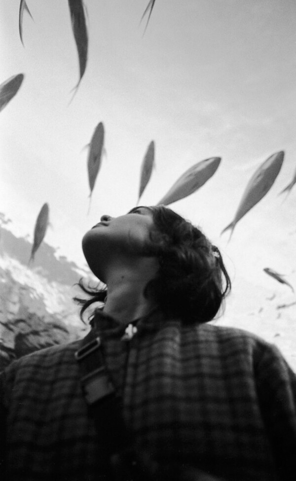 Curiosity - Toronto, Canada