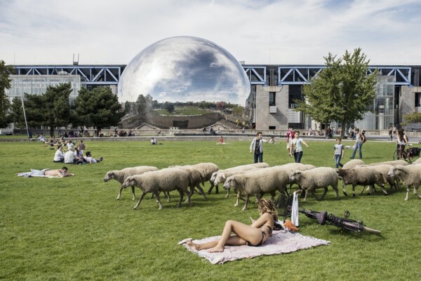 Transhumance in the Parc de la Villette, Paris, France.