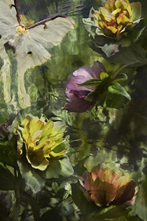 Flight To Giverny