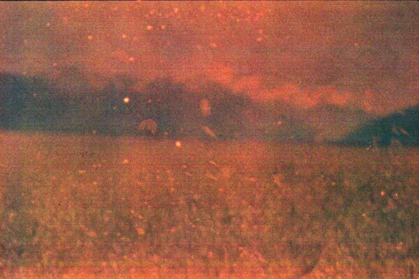 © Paola Jiménez Quispe