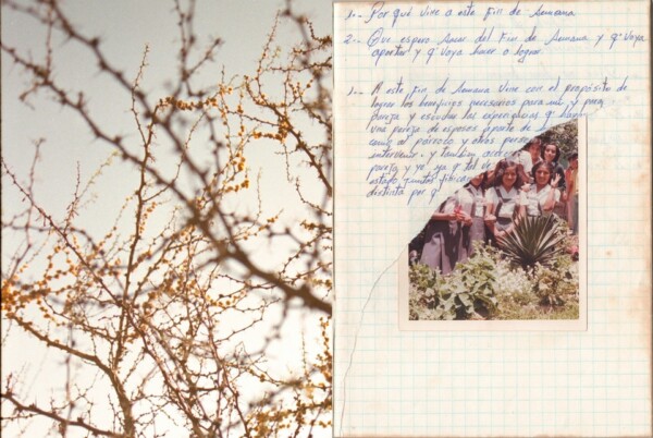 © Paola Jiménez Quispe