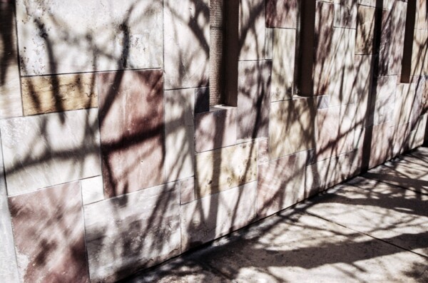 © Paola Jiménez Quispe