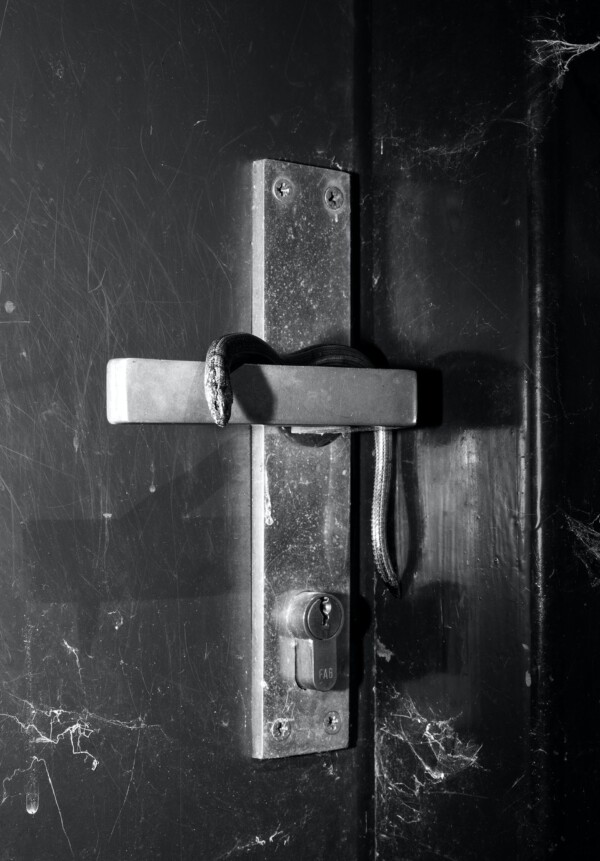 Woman and Her Symbols