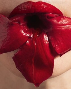 ©Jessica Ledwich