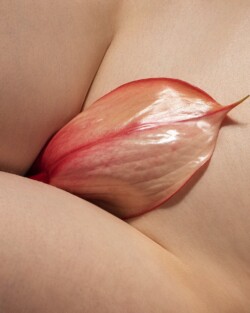 ©Jessica Ledwich