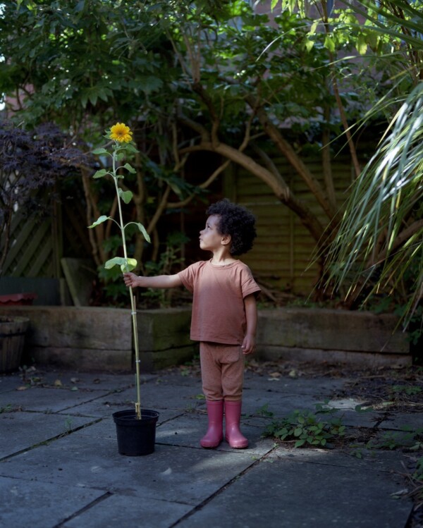 Wren and her first sunflower