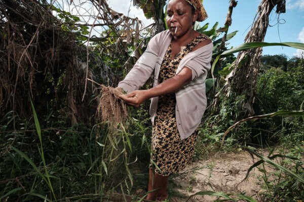 The trouble with water: Soil-Inspection