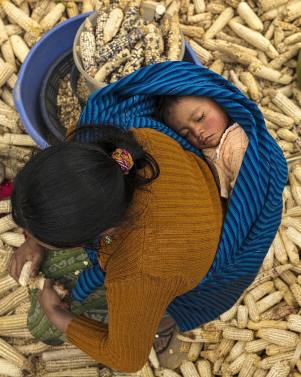 Guatemala Dreams