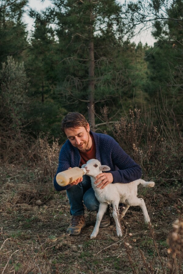Oriol and a Lamb