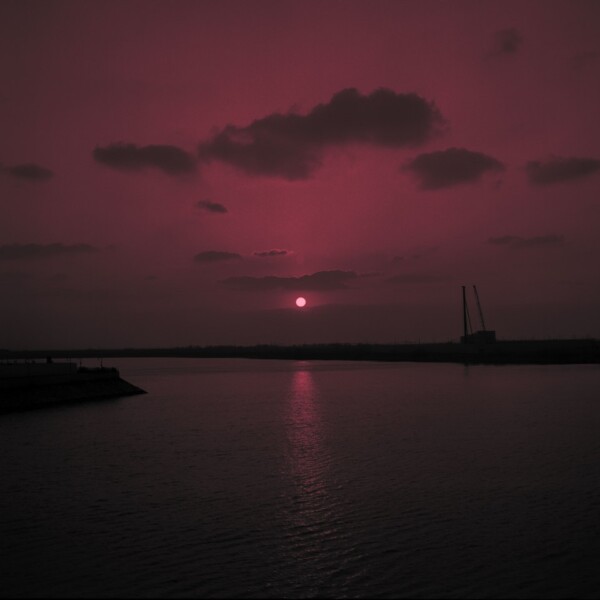 If This is a Human: a great curiosity