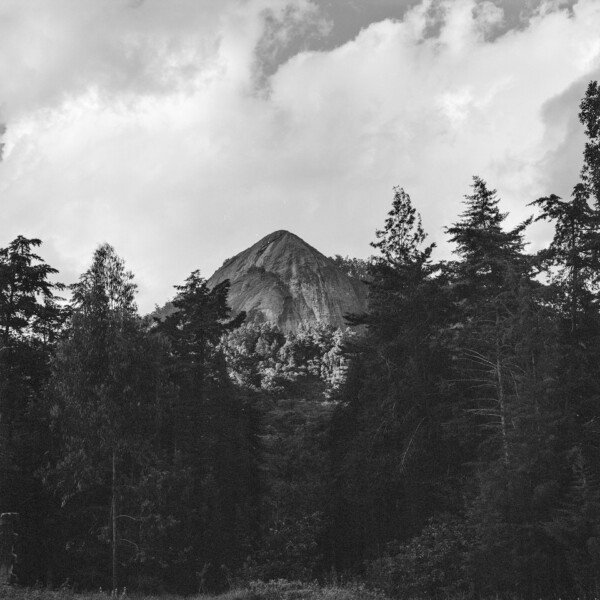 If This is a Human: a great curiosity