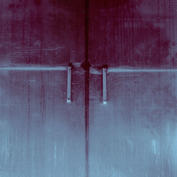 If This is a Human: a great curiosity