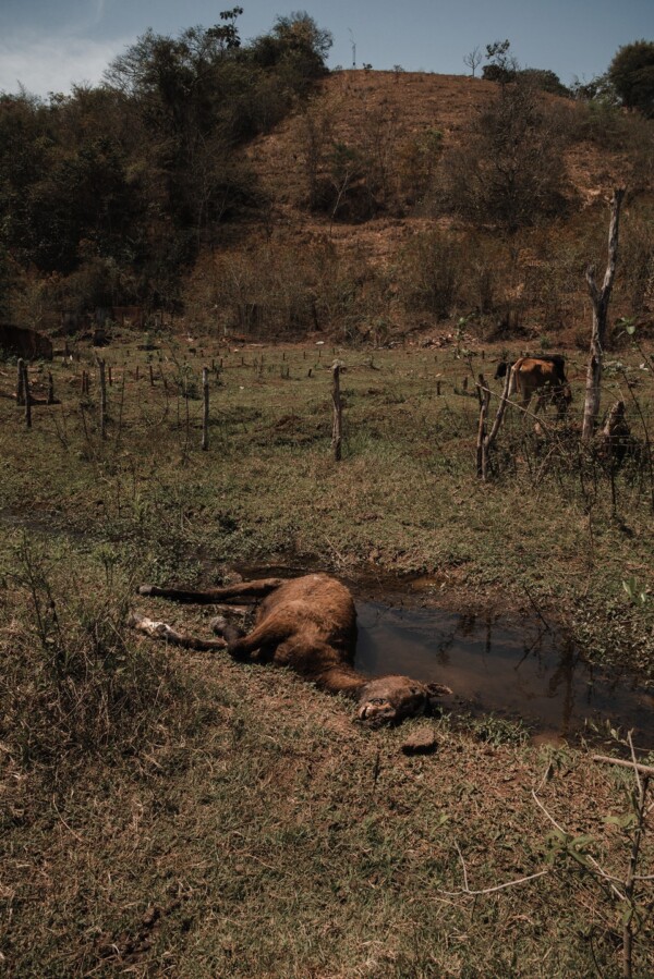 5 Minutos: Paracatu de Baixo