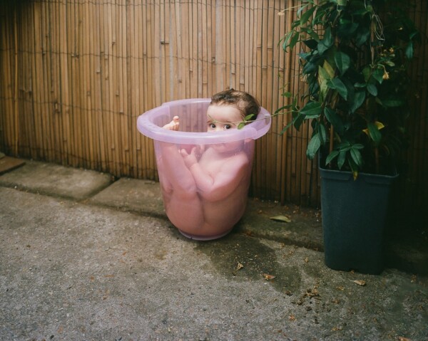 Martin in His Bucket