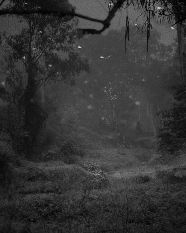 Extraordinary experiences 2022