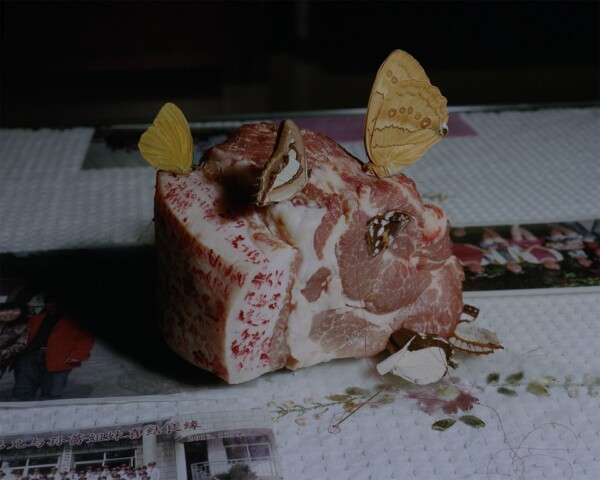 If Spring Could Feel Ache