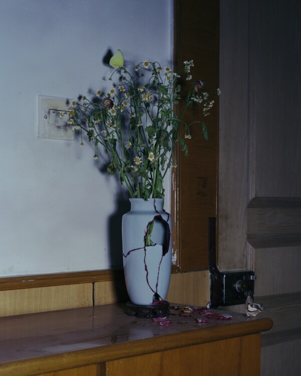 If Spring Could Feel Ache