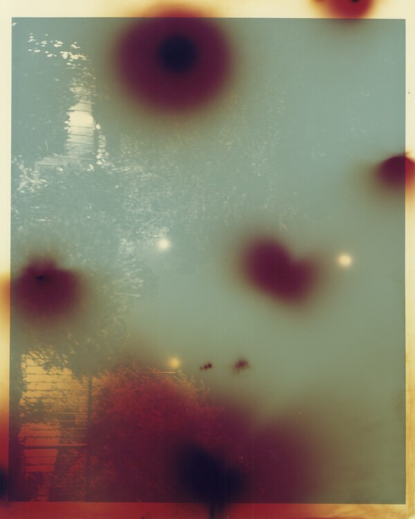 If Spring Could Feel Ache